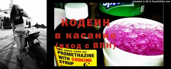 прущий лед Вяземский