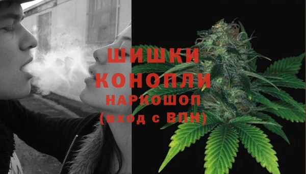 прущий лед Вяземский