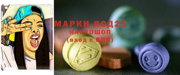 прущий лед Вяземский