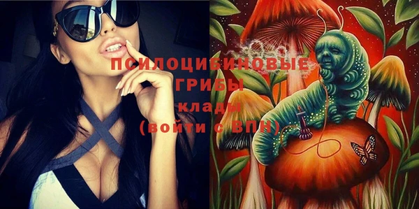 прущий лед Вяземский