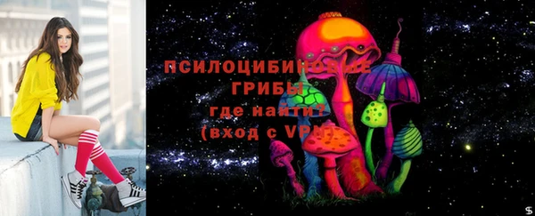 прущий лед Вяземский